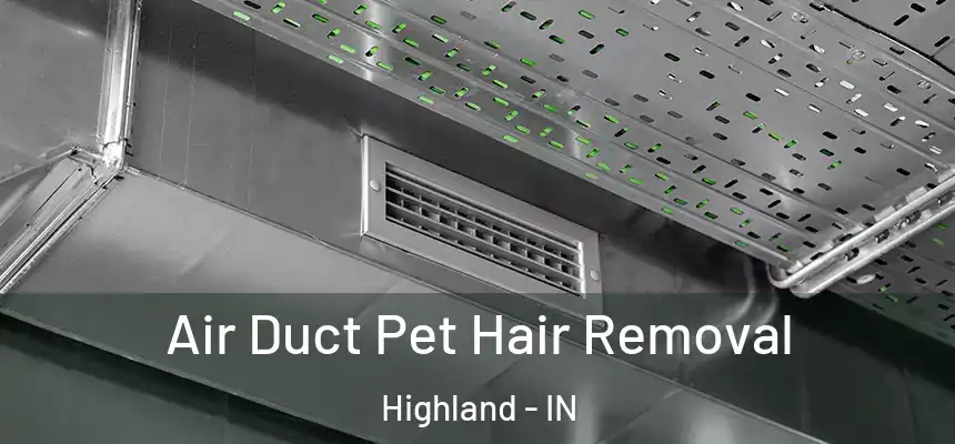 Air Duct Pet Hair Removal Highland - IN