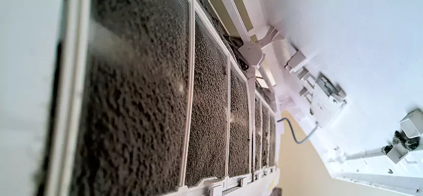 Preventive Air Duct Bacteria Removal in Highland