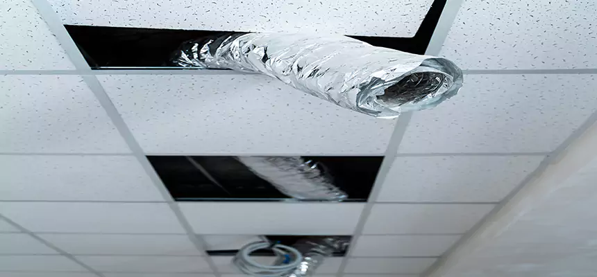 Affordable HVAC Sanitizing After Pest Removal in Highland