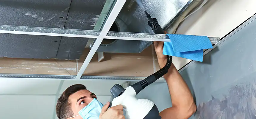 Our Air Duct Rodent Removal Services in Highland, IN