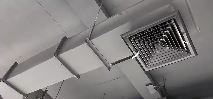 Our Pest Removal From Ducts Services in Highland, IN