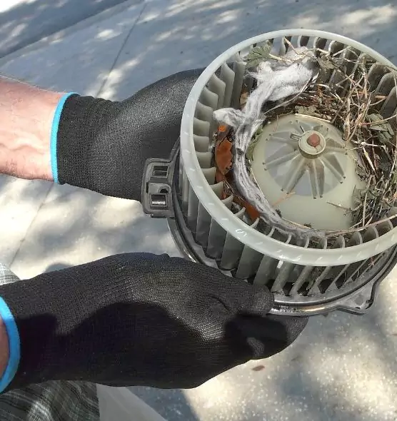 About Air Duct Mice Removal in Highland, IN