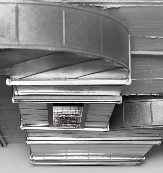 Professional Air Duct Pest Removal in Highland, IN