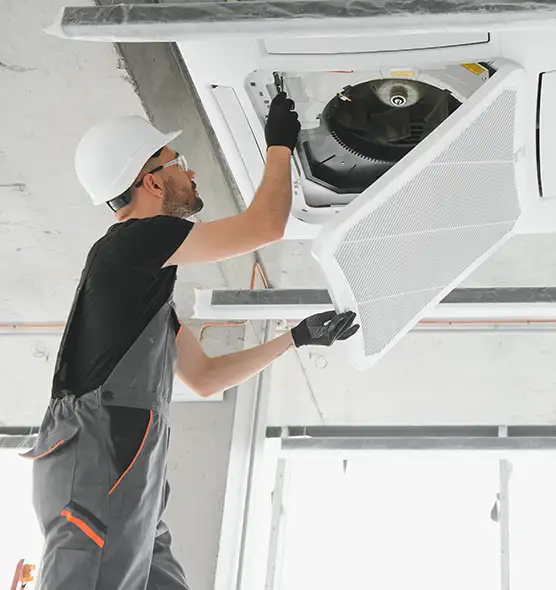 About Air Duct Rodent Removal in Highland, IN