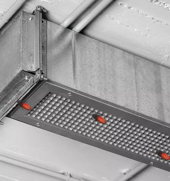 Affordable Insect Removal from Air Ducts in Highland, IN