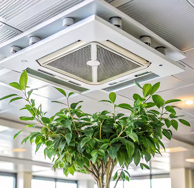 Why Homeowners & Businesses Trust Us in Highland, IN